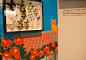 国立科学博物館 特別展「昆虫」_10