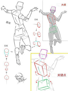 火锅浅析采集到人体——结构