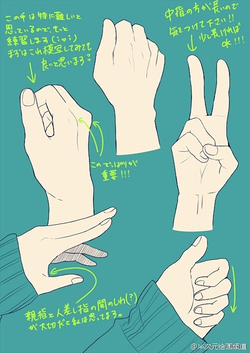 绘画参考 嗷ヽ ﾉ前方手控福利 多种手势的角度动态都在这里啦 手部动态练练练 整理by 半次元绘画频道