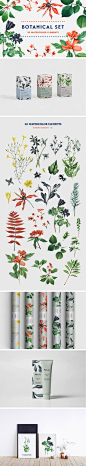 水彩小清新手绘植物叶子包装印刷装饰插画芯图案PNG - 设汇