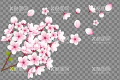 樱花插画  - 源文件下载【酷图网】樱花插画,卡通樱花,手绘樱花,樱花矢量,樱花素材