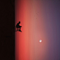 Hossein Zare Photography