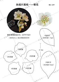 啊＊哈采集到热缩片