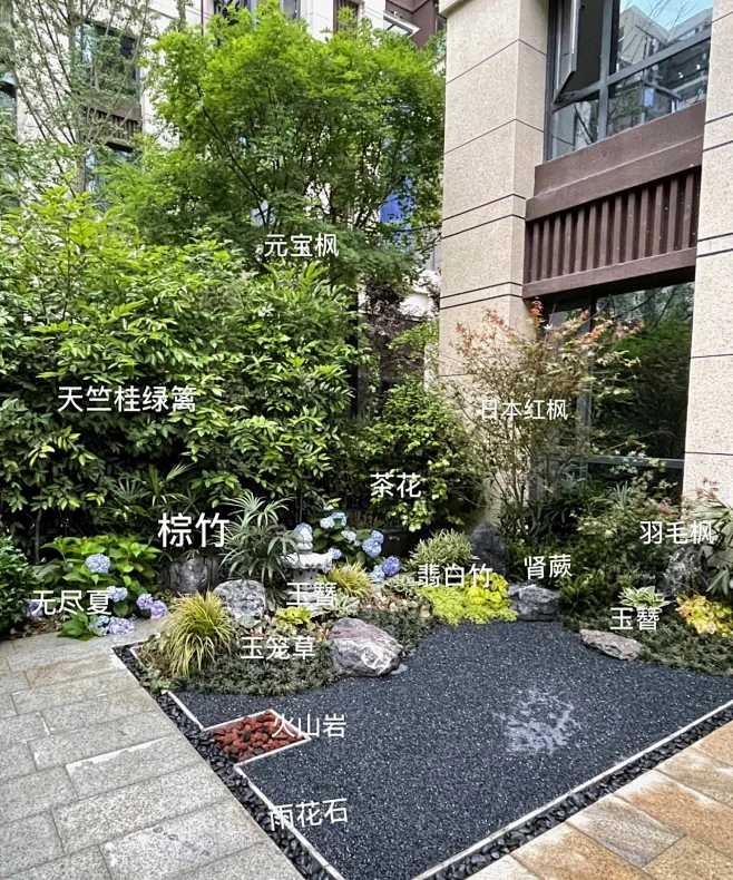 植物配置实景 (159)图片_植物配置图片素材-花瓣网
