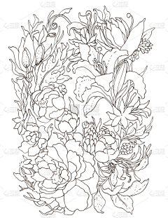 艺度采集到插画