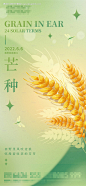 编号：20220531164517413【享设计】源文件下载-二十四节气之芒种海报