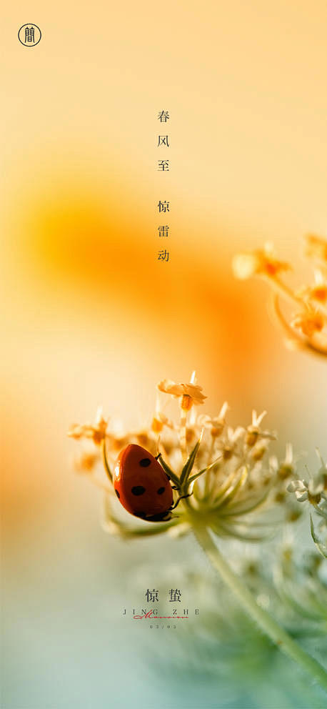源文件下载- 惊蛰