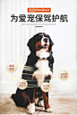派得狗粮 成幼犬泰迪柯基金毛拉布拉多萨摩耶博美小中大型犬全价通用 幼犬5kg【图片 价格 品牌 报价】-京东