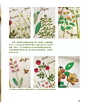青木和子的唯美刺绣：玫瑰花园：精彩插图（10） 在线阅读-时尚休闲 -京东读书