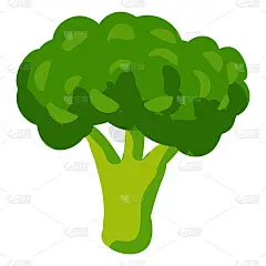 西兰花健康营养产品绿色蔬菜。矢量手绘卡通平面时尚风格的白色背景