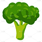 西兰花健康营养产品绿色蔬菜。矢量手绘卡通平面时尚风格的白色背景