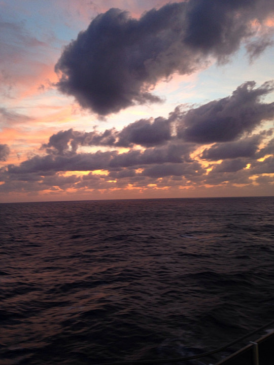 (40) Tumblr