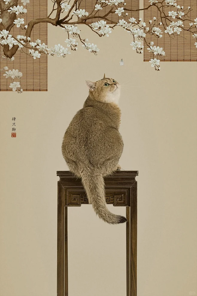 圆滚滚的古风小猫咪 - 小红书-花瓣网