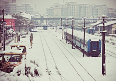 猫♛斯拉·²¼·采集到梦❤守望雪国的那抹白