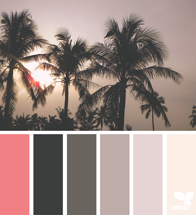 { tropical tones } i...