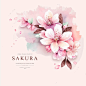 Vector collection of herry blossom flowers and branches in vector watercolor style