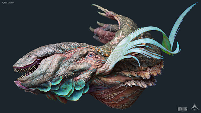 Kraken