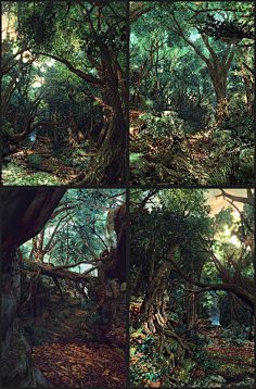 猛禽cg采集到秘境