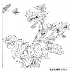 小呢呢呢采集到字画