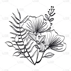 乡村风格,单色调,自然,高雅,浪漫,图像,花朵,装饰,花,爱