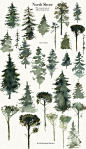 North Shore Book Style Illustrations #x25cm#landscape#scenes#shapes