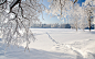 雪,冬天,树木,道路ppt背景图片