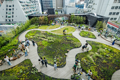 瑞WANG采集到10--雨水花园