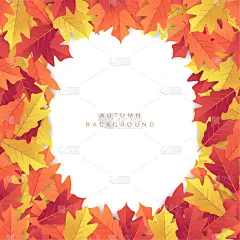 黄色,红色,秋天,叶子,多色的,背景,九月,十月,壁纸,橡树叶