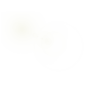 光