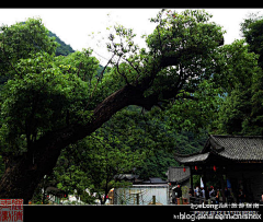 fstao采集到浙北大峡谷山野行【清