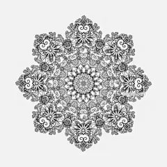 花朵造型对称几何线条图案PNG搜索网 - 精选免抠素材_透明PNG图片分享下载_pngss.com