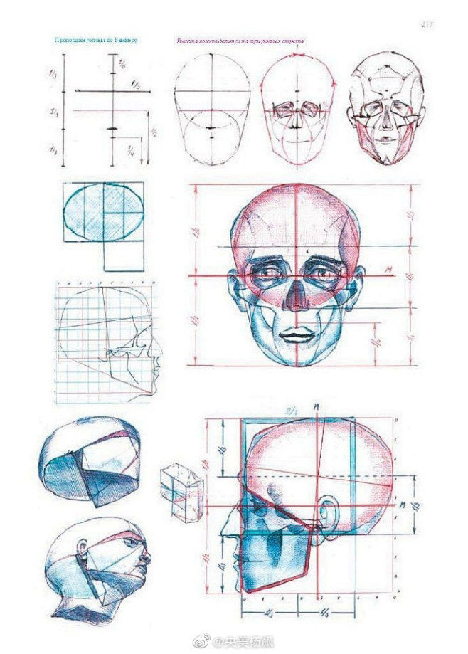 五官比例详解#遇见艺术# #美术# ​​...