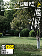 陶然隘gà好 Ⅰ 去公园散步才是正经事