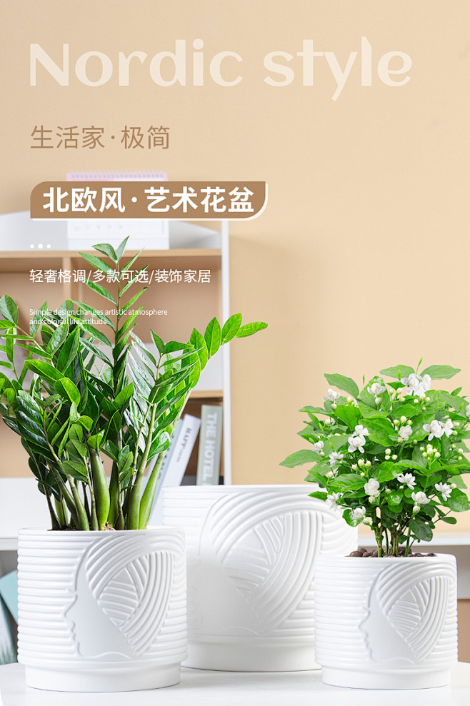 新款陶瓷花盆北欧ins风简约款蝴蝶兰天堂...