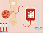 血液血袋血小板细胞输血医疗插画 医疗保健 健康恢复