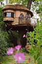 Amazing Snaps: Beautiful Tree House