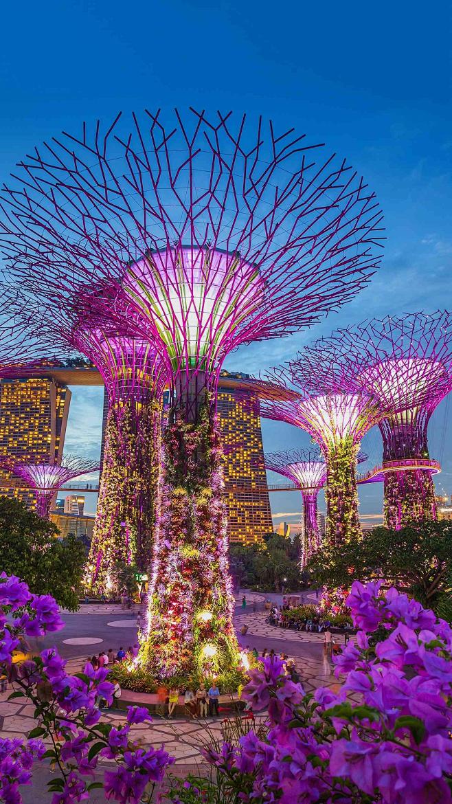 科技花园，未来世界