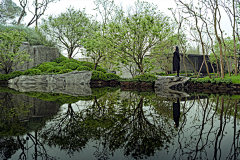 YJ+采集到植物空间