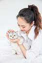 猫咪图片 (532)