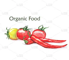 手绘水彩食品有机产品插图