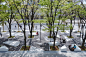 日本横滨城市公园改造 A vast circulation of water that supports a city by STGK : STGK :  位于米瑞21中心的700米长的大购物中心公园改造项目。被日本政府指定为“未来之城”的横滨市决定在建设这座城市公园的主题为“绿色x智能公园”。其中一个主要特征是垂直的“水循环”在天空、植物、可渗透的表面和位于地下的膨胀的碎石水保留层之间形成。
