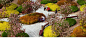 Public Park on a Roof by Claude Cormier