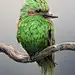 Josh Dykgraaf on Behance