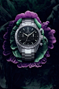 Ray Brown Productions - Magnus Torsne - accessories : Ray Brown Productions - Magnus Torsne - accessories