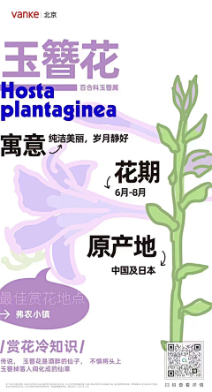 Kiyokoooooo采集到潮玩风格