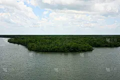 沼泽地国家公园,佛罗里达,科里尔县,红树,自然,水,水平画幅,地形,无人,生态旅游