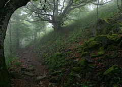 摄影师～许展铭采集到静与景