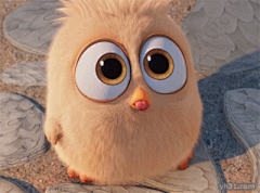 愤怒的小鸟QQ表情，愤怒的小鸟GIF微信图片_第1页_QQ表情包下载_表情党