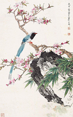 田世光