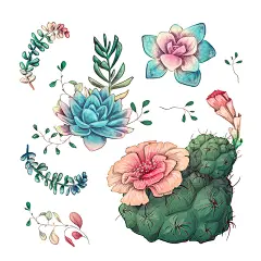 手绘仙人掌多肉植物元素